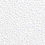 White Plastic Color Sample