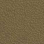 Olive Plastic Color Sample