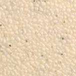 Ivory Essence Speckle Plastic Color Sample