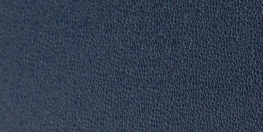 BLUE 9509
