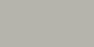 DOVE GRAY 3010