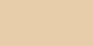 Sand 4010