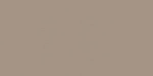 Taupe 9096