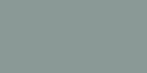 Sage 2141